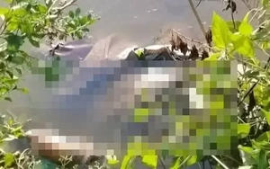 Khởi tố bị can sát hại bé gái 13 tuổi ở Cà Mau