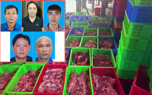 Danh tính 9 bị can liên quan vụ 120 tấn thịt nhiễm dịch tả làm thịt hộp ở Công ty Đồ hộp Hạ Long