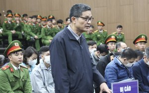 Cựu Cục trưởng An toàn thực phẩm Nguyễn Thanh Phong bị đề nghị 20 năm tù