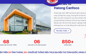 "Phù phép" 120 tấn thịt heo nhiễm bệnh: Đồ hộp Hạ Long có mặt tại hơn 20 chuỗi siêu thị?