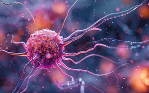 MIT-Harvard tổng hợp thành công hợp chất nấm chống ung thư