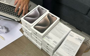 Hải quan thanh lý hàng nghìn chiếc iPhone là tang vật vi phạm hành chính, giá trung bình 800.000 đồng/chiếc