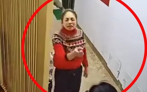 Công an xác minh vụ hành hung phụ nữ tại chung cư ở Hà Nội