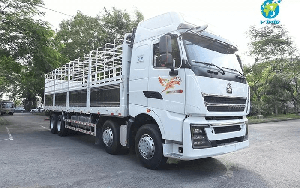 Khoản phải trả 7.100 tỷ đồng cho đối tác Trung Quốc và cách 'đại gia' bán xe tải 'Hổ vồ' thu tiền trước, trả tiền sau
