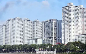 Xử lý 18 000 căn hộ sai quy hoạch tại 12 dự án ông Lê Thanh Thản: 'Không phải hợp thức vi phạm'