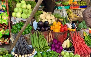 1 loại rau được Mỹ đánh giá ít "ngậm" thuốc trừ sâu bậc nhất: Trồng thùng xốp cũng lớn, thu đông chợ Việt bán la liệt