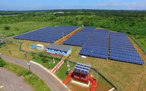 Trung Quốc là 'ông trùm' nhưng Cuba đang ồ ạt nhập mặt hàng này từ Mỹ - 'Họ đang trở thành khách hàng quan trọng của chúng ta'
