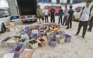 Trung Quốc: Giáo sư hóa học bị cáo buộc thiết kế phòng thí nghiệm điều chế ma túy tại 5 thành phố