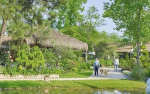 Bỏ phố lên núi nghỉ hưu ở tuổi 34, đêm đến tôi lại không dám ra khỏi nhà