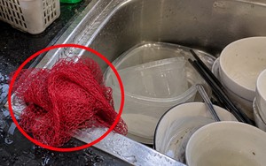 Lời khuyên cho những gia đình để lưới rửa bát ẩm ướt 24/24