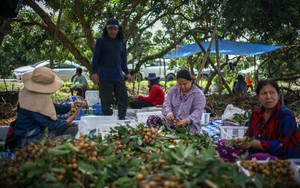 Thái Lan 'đau đầu' vì Campuchia, Myanmar, chỉ đang 'tiêm thuốc giảm đau để điều trị'