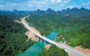 Đầu tư, thi công, quản lý vận hành 64km hầm cầu, 845km cao tốc và quốc lộ, 7 cầu cấp đặc biệt... Đèo Cả lãi 564 tỷ đồng sau 9 tháng