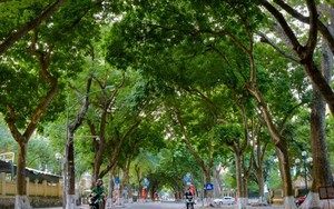 Từ nay đến 23/10, toàn bộ người dân Hà Nội sẽ được miễn phí 100% dịch vụ này