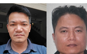 Khởi tố đối tượng tàng trữ 40kg vảy tê tê