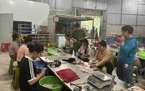 Lạng Sơn phát hiện hơn 5 tấn chân gà không rõ nguồn gốc