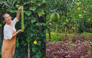 Mẹ nuôi của Phương Oanh nghỉ hưu sớm, làm nông dân ở khu vườn rộng 4.000m² ven sông Hồng