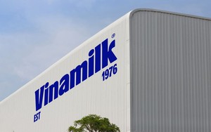 Vinamilk đang tuyển 1 nhân sự mới cho vị trí quan trọng: Yêu cầu tối thiểu 3 năm kinh nghiệm, khuyến khích người người thích thử nghiệm, tạo dấu ấn riêng