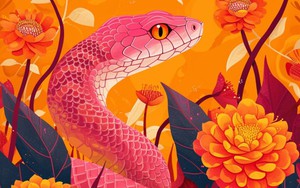 3 tài cùng tiến trong nửa cuối năm: 4 con giáp càng làm càng có, càng tích càng vững