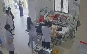 Hai vợ chồng bị ong tấn công, bác sĩ gỡ 49 con ong trên đầu người vợ