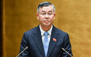 Đề xuất 'doanh nghiệp một người' không bắt buộc phải có chủ tịch, kế toán trưởng