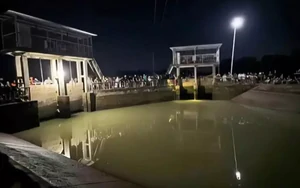 Nhảy xuống kênh cứu con, cả 2 mẹ con đuối nước