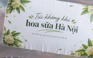Trong lúc Hà Nội cắt tỉa hoa sữa cho bớt "thu nồng", xuất hiện túi đựng mùi hoa sữa giá 300.000 đồng