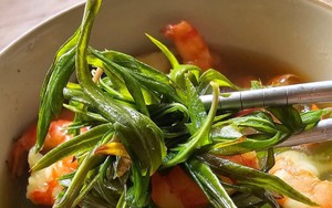 Việt Nam có loại "rau thượng hạng": Cực ít thuốc trừ sâu, vài nghìn cả bó nhưng nhiều lợi ích sức khỏe đến giật mình