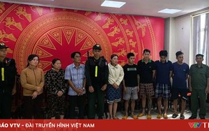 Triệt phá đường dây tiêu thụ 400 tấn lợn bệnh, lợn chết, thu lợi hơn 10 tỷ đồng