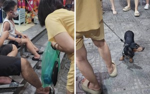 Chủ dắt chó xuống sân dạo nhưng không rọ mõm khiến 1 bé trai bị cắn phải đi tiêm phòng trong đêm