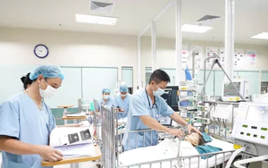 GS.TS Trần Minh Điển: Hiểu đúng quy định về hiến mô, tạng ở trẻ em