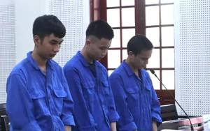 Bí mật trong chuồng gà khiến gã trai 20 tuổi lĩnh án 16 năm tù