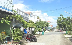 Cuộc truy lùng doanh nghiệp 'ma' và nỗi khổ mang tên 'giám đốc'