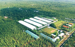 Việt Nam có một doanh nghiệp sang Lào xây nhà máy hơn 10 triệu USD: Công suất 180.000 tấn/năm, sản xuất ‘mỏ vàng ẩn’ của ngành nông nghiệp