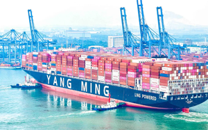 Phát hiện một siêu tàu dài gần 365 m, sức chở 15.500 TEU lần đầu tiên xuất hiện tại Việt Nam, thực hiện nhiệm vụ quan trọng