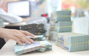 Chính phủ nêu lý do đề xuất phạt vi phạm hành chính đến 3 tỷ đồng