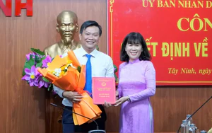 Điều động, bổ nhiệm cán bộ chủ chốt ở 4 tỉnh, thành