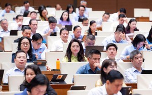 Quốc hội thảo luận về đề xuất hoãn xuất cảnh nếu 'chây ỳ' nộp phạt hành chính