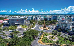 Tập đoàn TH của bà Thái Hương nghiên cứu cơ hội đầu tư dưới tán rừng tại địa phương duy nhất ở Việt Nam giáp 3 mặt biển