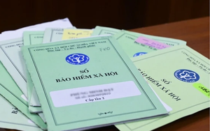 Chủ hộ kinh doanh đã đóng BHXH bắt buộc, hưởng thai sản thế nào?