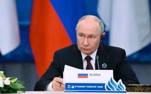 Tổng thống Putin: EU đang tự chôn vùi nền kinh tế của chính mình
