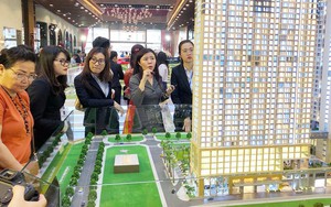 Tất cả người dân có bất động sản chú ý quy định phạt đến 40 triệu đồng