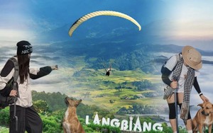 "Hướng dẫn viên" ở Đà Lạt được du khách lập hẳn địa danh riêng trên Google Maps dù chưa từng nhận một đồng lương