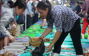 Giải pháp "chống chặt chém" khi mua hải sản theo cân ở điểm du lịch