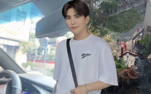 Xe của Will bị cây cổ thụ trên đường Đinh Tiên Hoàng đổ trúng