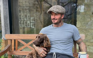 David Beckham lại "hái ra tiền"
