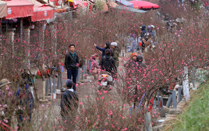 Đi chợ hoa xuân với bạn trai một buổi, lúc về tôi kể lại chuyện với mẹ, bà "phán" luôn: Bỏ ngay