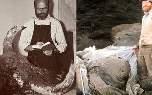 Các nhà khoa học đã nấu một con bò rừng 50.000 năm tuổi để ăn và nhận xét: "Ngon tuyệt nhưng dai kinh khủng!"