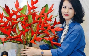 Chuối én đỏ được mệnh danh "bảo bối" phong thủy năm Hỏa: Đẹp ma mị, bền cả tháng, rước lộc "tiền đồ như gấm", ai nhìn cũng khen tấm tắc