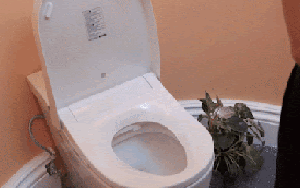 Sau 1 năm dùng bồn cầu thông minh, tôi hiểu vì sao có nhà khen hết lời, có nhà lại hối hận tràn ngập