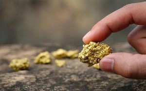 Phát hiện thêm 13.000 kg vàng trị giá 31.000 tỷ đồng bị bỏ ngoài hố